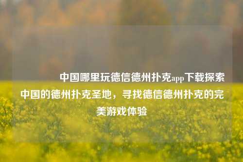 🥇中国哪里玩德信德州扑克app下载探索中国的德州扑克圣地，寻找德信德州扑克的完美游戏体验