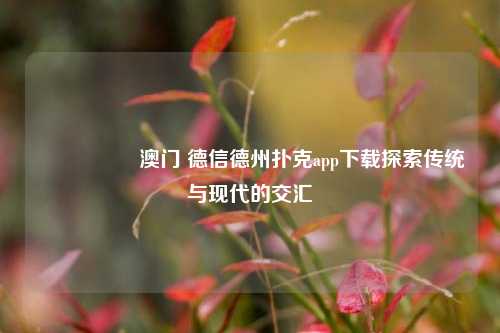 🎖️澳门 德信德州扑克app下载探索传统与现代的交汇
