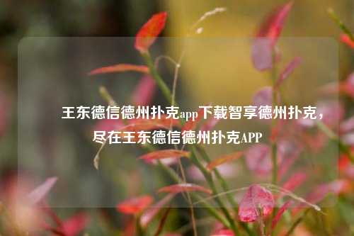 ✌️王东德信德州扑克app下载智享德州扑克，尽在王东德信德州扑克APP