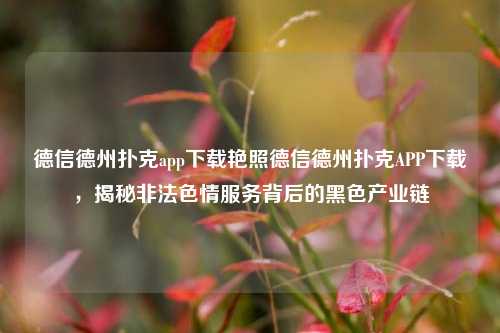 德信德州扑克app下载艳照德信德州扑克APP下载，揭秘非法色情服务背后的黑色产业链