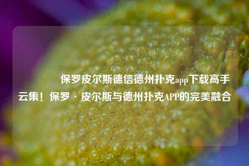 👉保罗皮尔斯德信德州扑克app下载高手云集！保罗·皮尔斯与德州扑克APP的完美融合