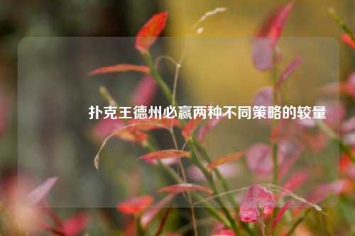 🥉扑克王德州必赢两种不同策略的较量