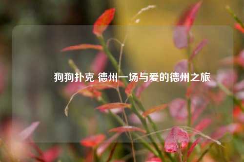 ✌️狗狗扑克 德州一场与爱的德州之旅