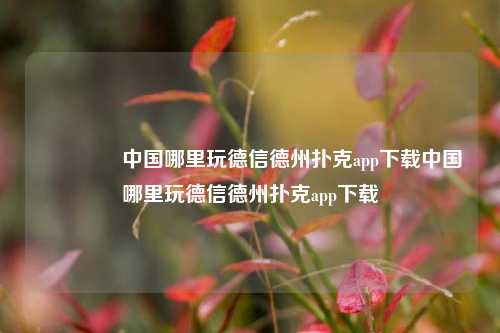 👈中国哪里玩德信德州扑克app下载中国哪里玩德信德州扑克app下载