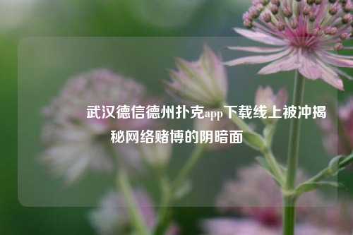 👈武汉德信德州扑克app下载线上被冲揭秘网络赌博的阴暗面