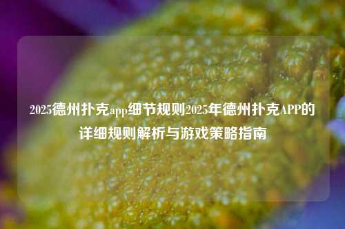 2025德州扑克app细节规则2025年德州扑克APP的详细规则解析与游戏策略指南