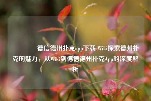 🥈德信德州扑克app下载 Wiki探索德州扑克的魅力，从Wiki到德信德州扑克App的深度解析