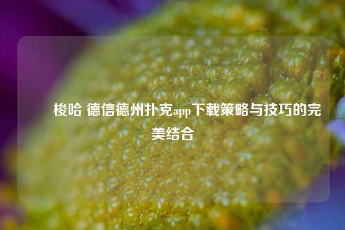 ✌️梭哈 德信德州扑克app下载策略与技巧的完美结合
