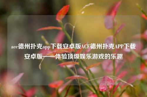 ace德州扑克app下载安卓版ACE德州扑克APP下载安卓版——体验顶级娱乐游戏的乐趣