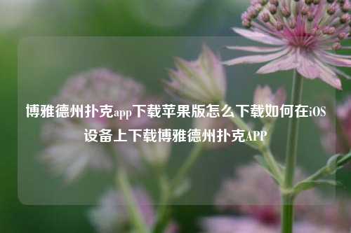 博雅德州扑克app下载苹果版怎么下载如何在iOS设备上下载博雅德州扑克APP