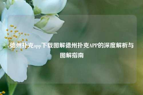 德州扑克app下载图解德州扑克APP的深度解析与图解指南
