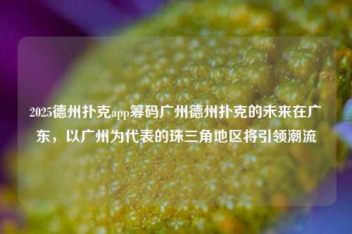 2025德州扑克app筹码广州德州扑克的未来在广东，以广州为代表的珠三角地区将引领潮流