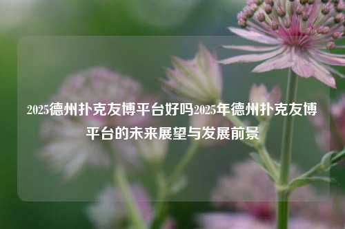 2025德州扑克友博平台好吗2025年德州扑克友博平台的未来展望与发展前景