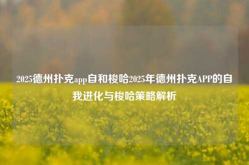 2025德州扑克app自和梭哈2025年德州扑克APP的自我进化与梭哈策略解析