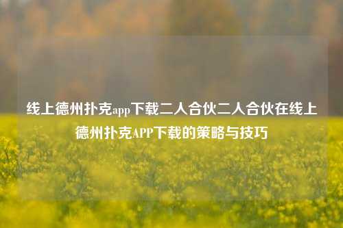 线上德州扑克app下载二人合伙二人合伙在线上德州扑克APP下载的策略与技巧