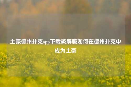 土豪德州扑克app下载破解版如何在德州扑克中成为土豪