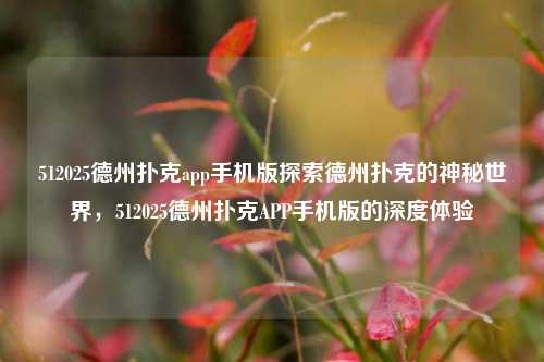 512025德州扑克app手机版探索德州扑克的神秘世界，512025德州扑克APP手机版的深度体验