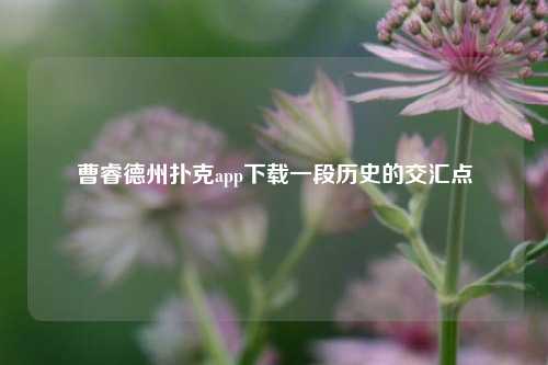 曹睿德州扑克app下载一段历史的交汇点