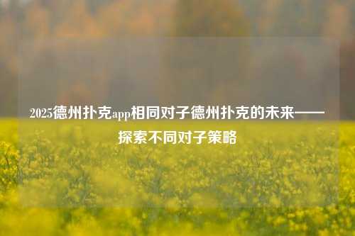 2025德州扑克app相同对子德州扑克的未来——探索不同对子策略