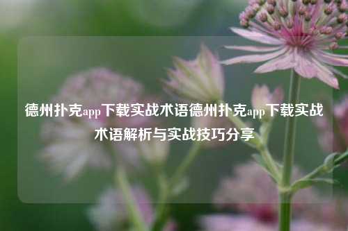 德州扑克app下载实战术语德州扑克app下载实战术语解析与实战技巧分享
