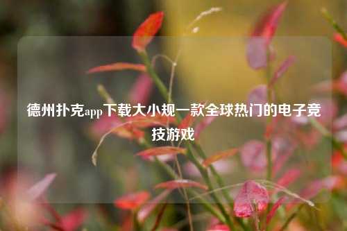 德州扑克app下载大小规一款全球热门的电子竞技游戏