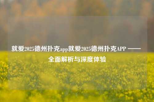 就爱2025德州扑克app就爱2025德州扑克APP —— 全面解析与深度体验