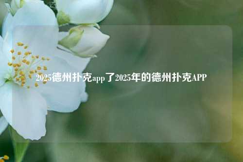 2025德州扑克app了2025年的德州扑克APP