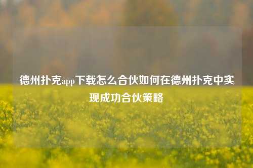 德州扑克app下载怎么合伙如何在德州扑克中实现成功合伙策略
