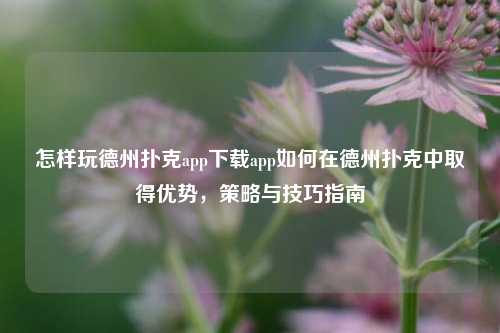 怎样玩德州扑克app下载app如何在德州扑克中取得优势，策略与技巧指南