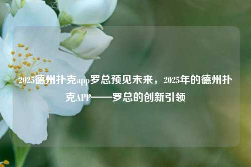 2025德州扑克app罗总预见未来，2025年的德州扑克APP——罗总的创新引领