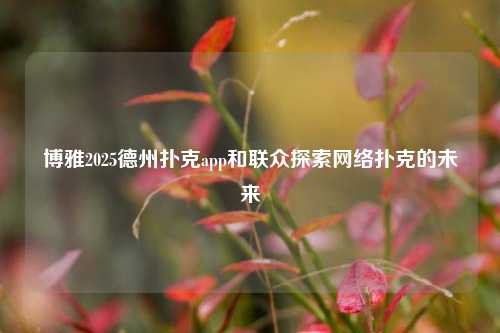 博雅2025德州扑克app和联众探索网络扑克的未来