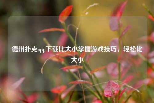 德州扑克app下载比大小掌握游戏技巧，轻松比大小