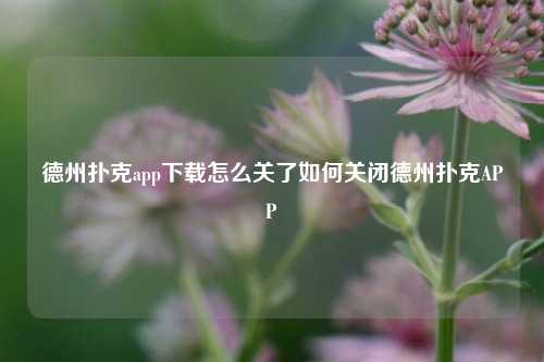 德州扑克app下载怎么关了如何关闭德州扑克APP