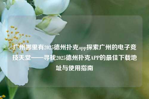 广州哪里有2025德州扑克app探索广州的电子竞技天堂——寻找2025德州扑克APP的最佳下载地址与使用指南
