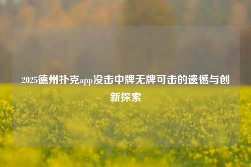 2025德州扑克app没击中牌无牌可击的遗憾与创新探索