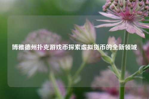 博雅德州扑克游戏币探索虚拟货币的全新领域