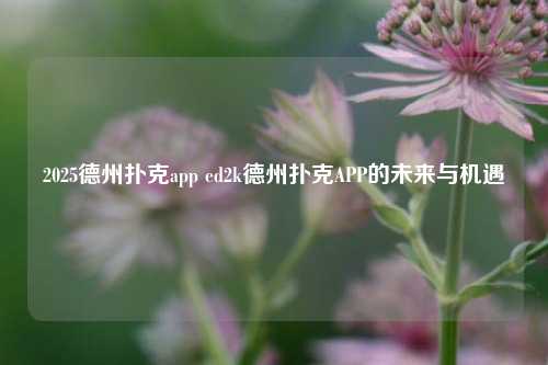 2025德州扑克app ed2k德州扑克APP的未来与机遇