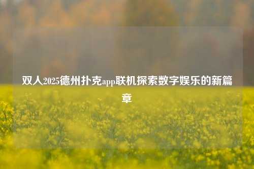 双人2025德州扑克app联机探索数字娱乐的新篇章