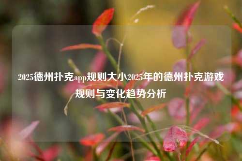 2025德州扑克app规则大小2025年的德州扑克游戏规则与变化趋势分析