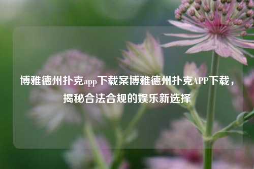 博雅德州扑克app下载案博雅德州扑克APP下载，揭秘合法合规的娱乐新选择