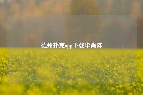德州扑克app下载华裔陈