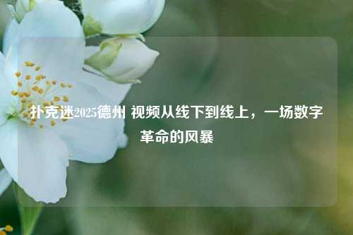 扑克迷2025德州 视频从线下到线上，一场数字革命的风暴