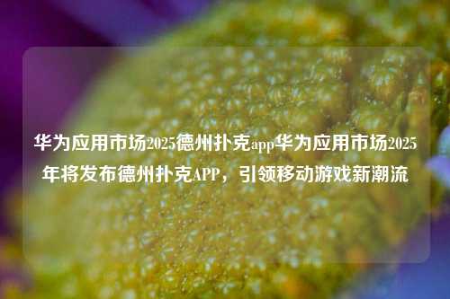 华为应用市场2025德州扑克app华为应用市场2025年将发布德州扑克APP，引领移动游戏新潮流