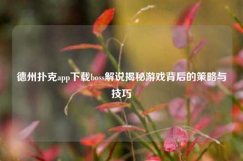 德州扑克app下载boss解说揭秘游戏背后的策略与技巧