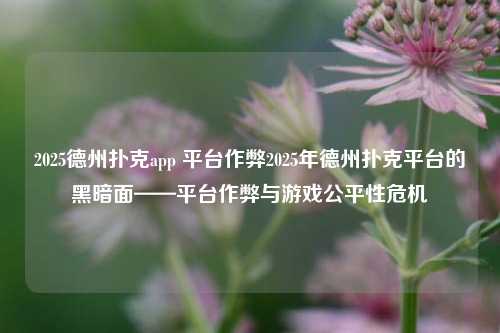 2025德州扑克app 平台作弊2025年德州扑克平台的黑暗面——平台作弊与游戏公平性危机