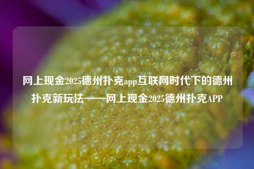 网上现金2025德州扑克app互联网时代下的德州扑克新玩法——网上现金2025德州扑克APP