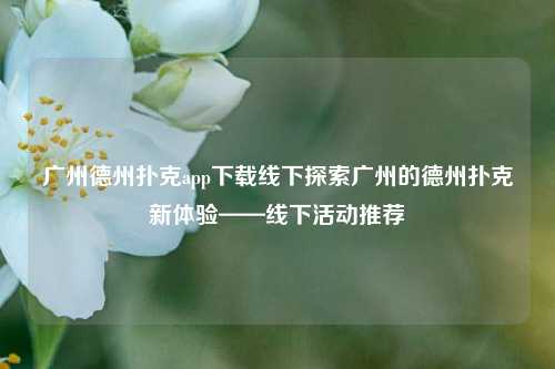 广州德州扑克app下载线下探索广州的德州扑克新体验——线下活动推荐