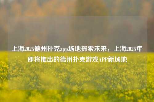 上海2025德州扑克app场地探索未来，上海2025年即将推出的德州扑克游戏APP新场地