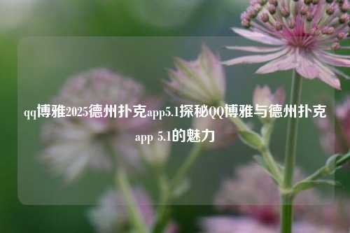 qq博雅2025德州扑克app5.1探秘QQ博雅与德州扑克app 5.1的魅力