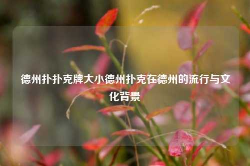 德州扑扑克牌大小德州扑克在德州的流行与文化背景